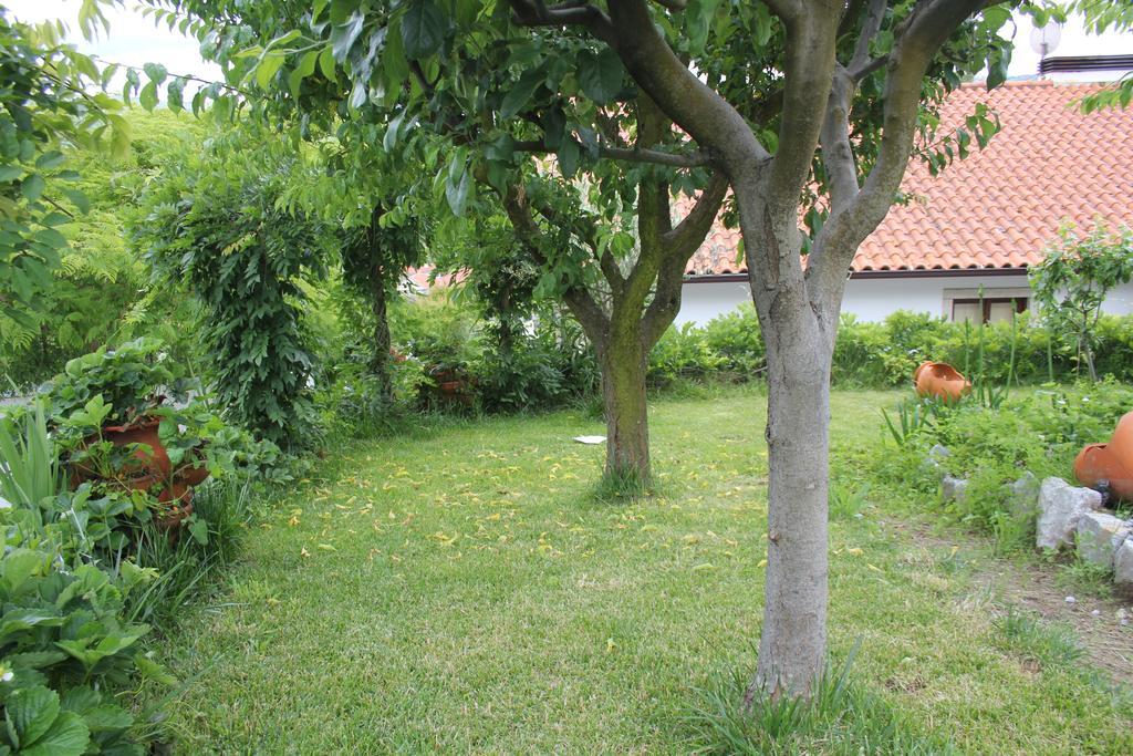 Casa De Tapadeiro Villa Resende Exterior photo